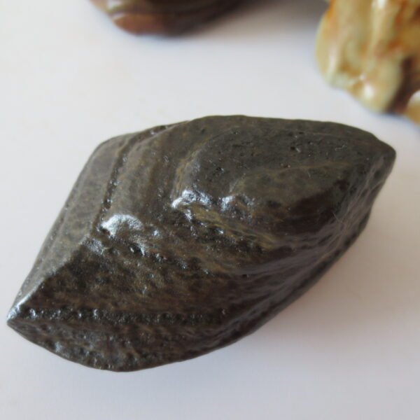 gobi desert raw rough stones natural gemstone specimen for collectors (p26) (copy)
