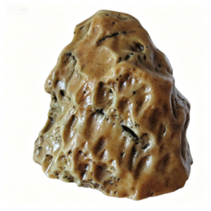 natural quartz flower gobi stone raw desert rock home decor. (g25) (copy)