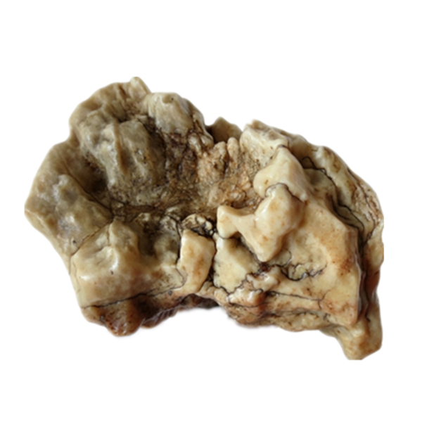 natural quartz flower gobi stone raw desert rock home decor. (g38)
