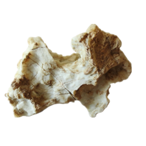 natural quartz flower gobi stone raw desert rock home decor. (g35)