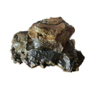 natural banded gobi desert stone raw desert rock home decor ornament (g02)