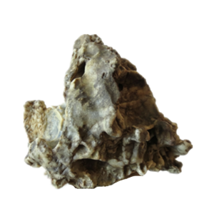 natural quartz flower gobi stone raw desert rock home decor. (g51)