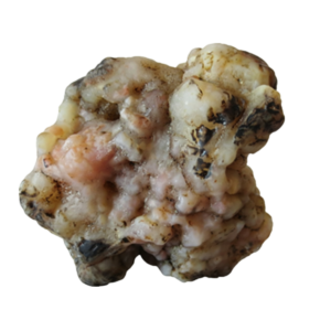 natural quartz flower gobi stone raw desert rock home decor. (g47)
