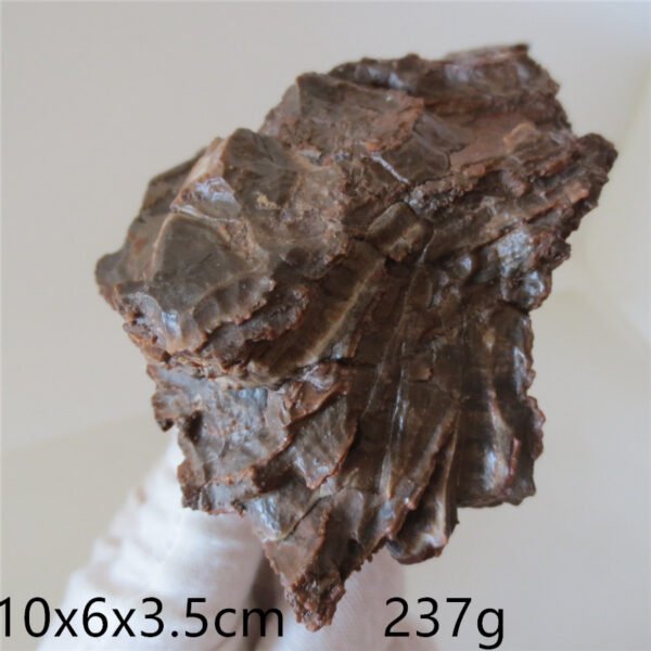 natural quartz flower gobi stone raw desert rock home decor. (g36)