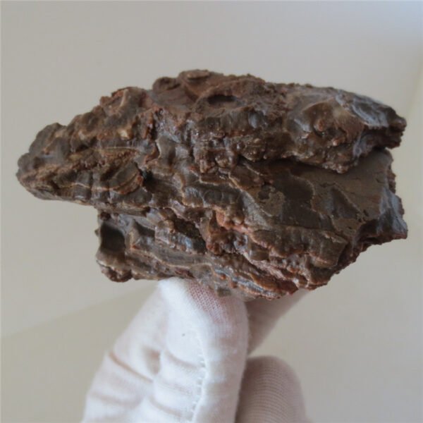 natural quartz flower gobi stone raw desert rock home decor. (g36)