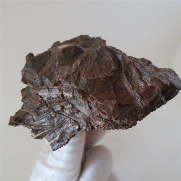 natural quartz flower gobi stone raw desert rock home decor. (g36)