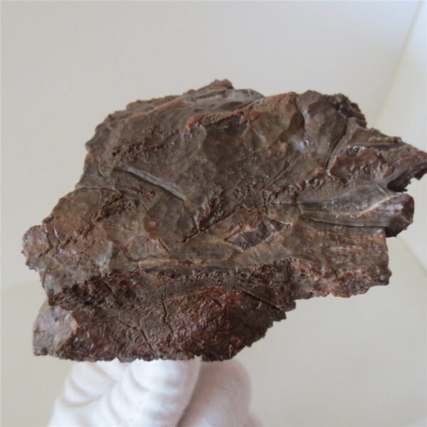natural quartz flower gobi stone raw desert rock home decor. (g36)