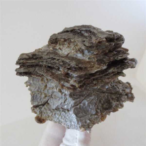 natural quartz flower gobi stone raw desert rock home decor. (g31)