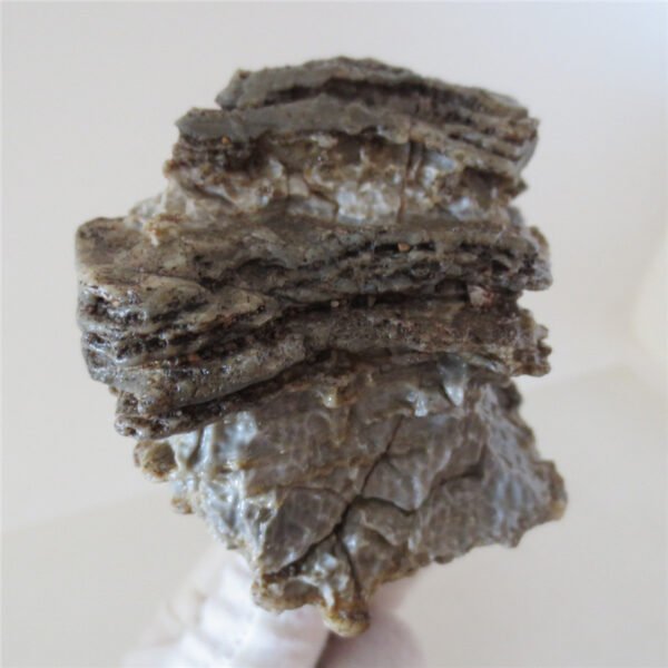 natural quartz flower gobi stone raw desert rock home decor. (g31)