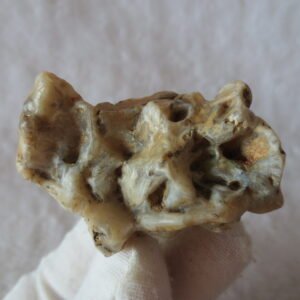natural gobi skeleton stone (ji gu stone), boxwork ventifact, desert viewing stone (u01)