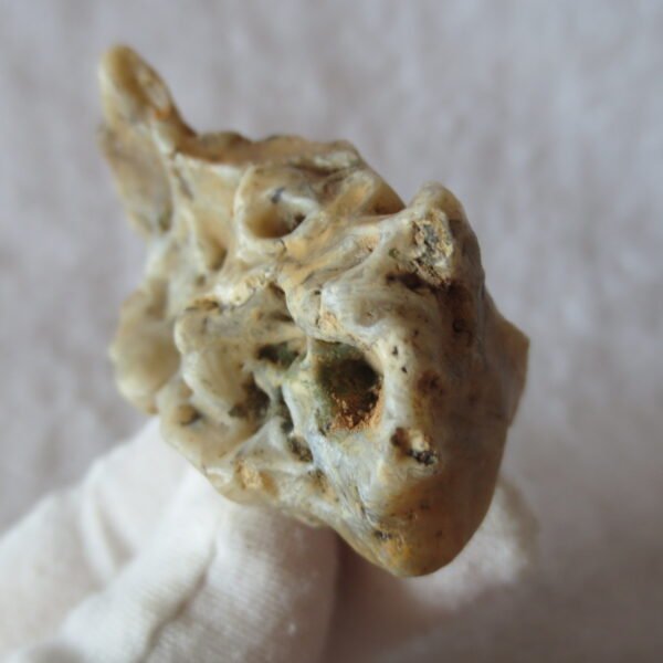natural gobi skeleton stone (ji gu stone), boxwork ventifact, desert viewing stone (u01）