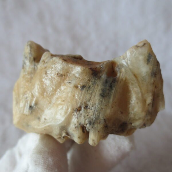 natural gobi skeleton stone (ji gu stone), boxwork ventifact, desert viewing stone (u01）
