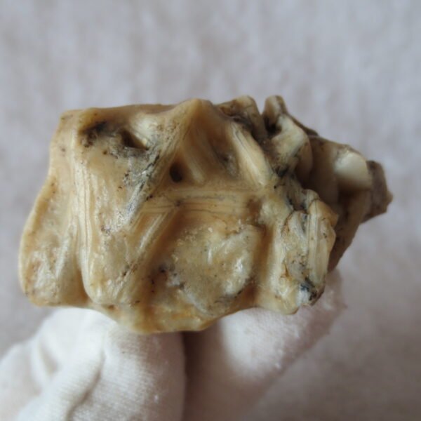 natural gobi skeleton stone (ji gu stone), boxwork ventifact, desert viewing stone (u01）