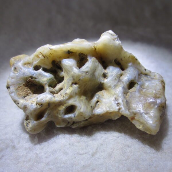 natural gobi skeleton stone (ji gu stone), boxwork ventifact, desert viewing stone (u01）