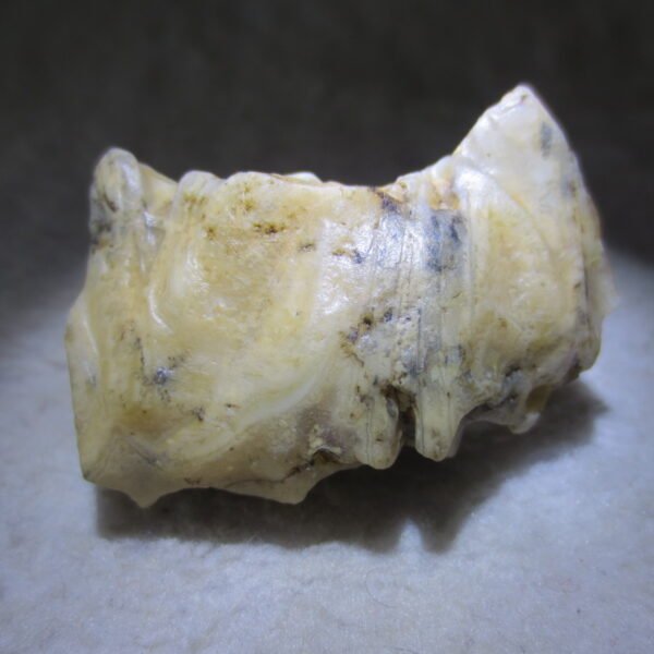 natural gobi skeleton stone (ji gu stone), boxwork ventifact, desert viewing stone (u01）