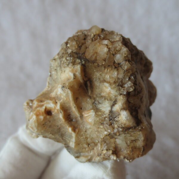 natural gobi skeleton stone (ji gu stone), boxwork ventifact, desert viewing stone (u02）