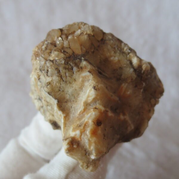 natural gobi skeleton stone (ji gu stone), boxwork ventifact, desert viewing stone (u02）