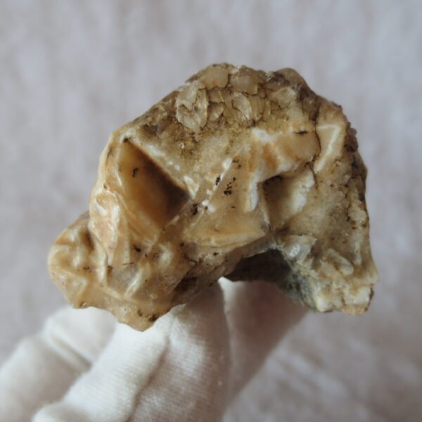 natural gobi skeleton stone (ji gu stone), boxwork ventifact, desert viewing stone (u02）