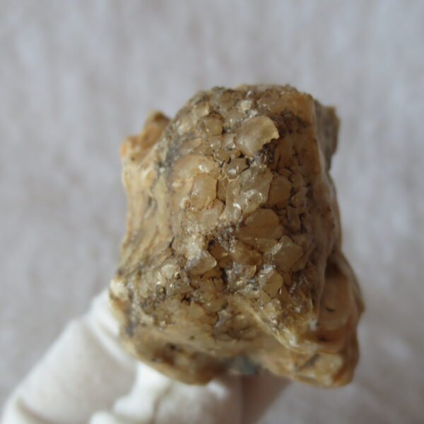 natural gobi skeleton stone (ji gu stone), boxwork ventifact, desert viewing stone (u02）