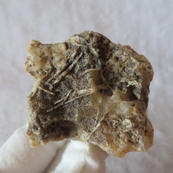 natural gobi skeleton stone (ji gu stone), boxwork ventifact, desert viewing stone (u02）