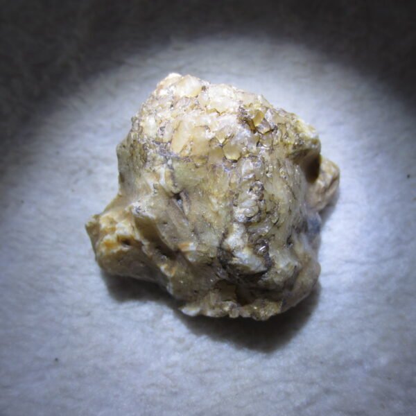 natural gobi skeleton stone (ji gu stone), boxwork ventifact, desert viewing stone (u02）