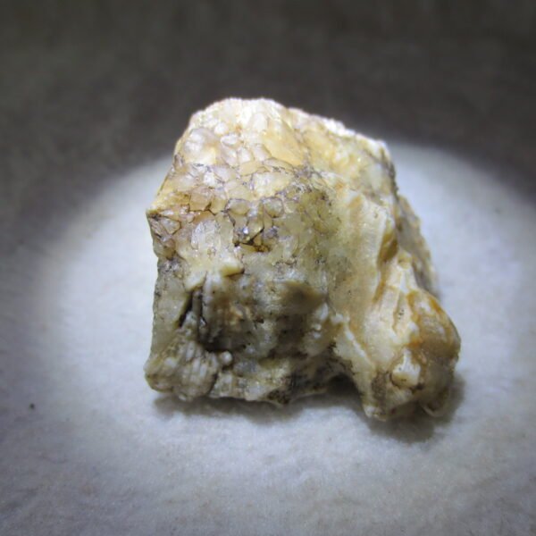 natural gobi skeleton stone (ji gu stone), boxwork ventifact, desert viewing stone (u02）