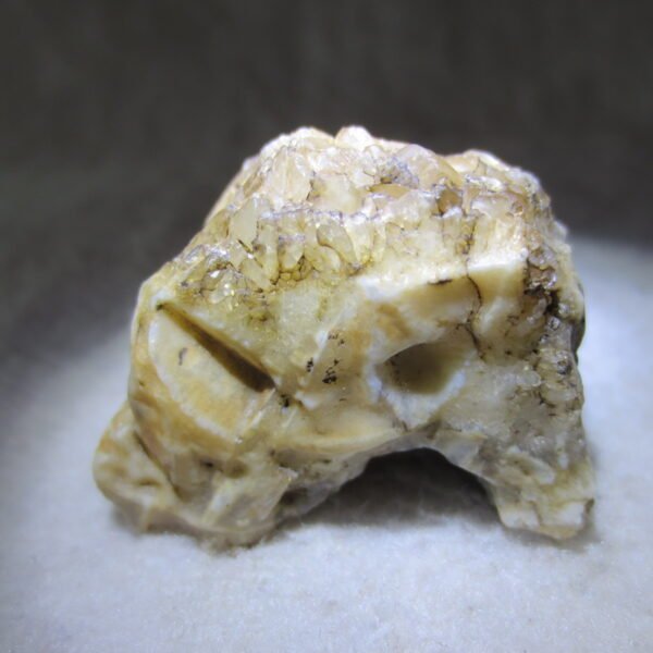 natural gobi skeleton stone (ji gu stone), boxwork ventifact, desert viewing stone (u02）