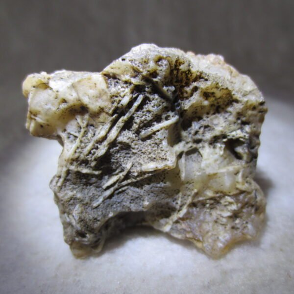 natural gobi skeleton stone (ji gu stone), boxwork ventifact, desert viewing stone (u02）