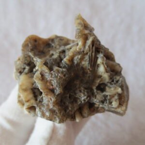 natural gobi skeleton stone (ji gu stone), boxwork ventifact, desert viewing stone (u02) (copy)