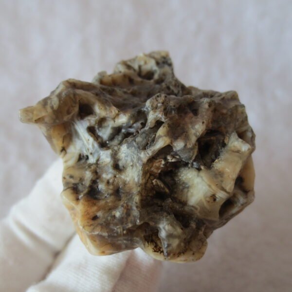 natural gobi skeleton stone (ji gu stone), boxwork ventifact, desert viewing stone (u02） (copy)