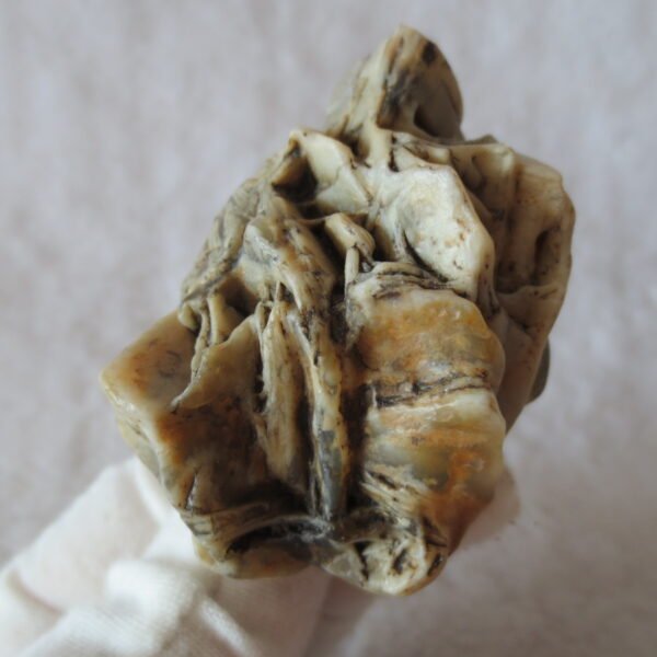 natural gobi skeleton stone (ji gu stone), boxwork ventifact, desert viewing stone (u02） (copy)