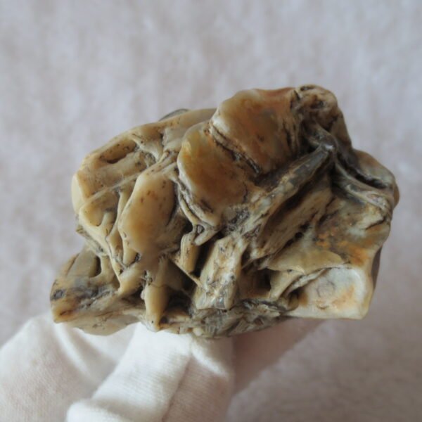 natural gobi skeleton stone (ji gu stone), boxwork ventifact, desert viewing stone (u02） (copy)