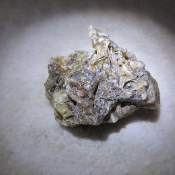 natural gobi skeleton stone (ji gu stone), boxwork ventifact, desert viewing stone (u03）
