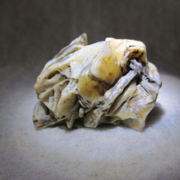 natural gobi skeleton stone (ji gu stone), boxwork ventifact, desert viewing stone (u03）