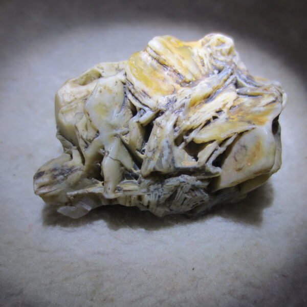 natural gobi skeleton stone (ji gu stone), boxwork ventifact, desert viewing stone (u03）