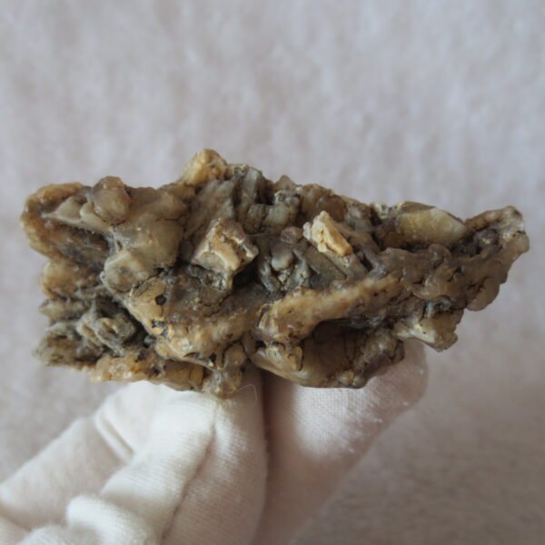 natural gobi skeleton stone (ji gu stone), boxwork ventifact, desert viewing stone (u03） (copy)