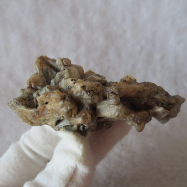 natural gobi skeleton stone (ji gu stone), boxwork ventifact, desert viewing stone (u03） (copy)
