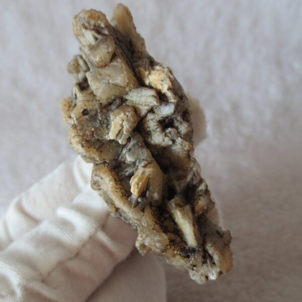 natural gobi skeleton stone (ji gu stone), boxwork ventifact, desert viewing stone (u04）
