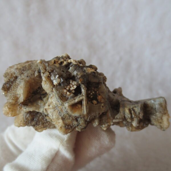 natural gobi skeleton stone (ji gu stone), boxwork ventifact, desert viewing stone (u04）