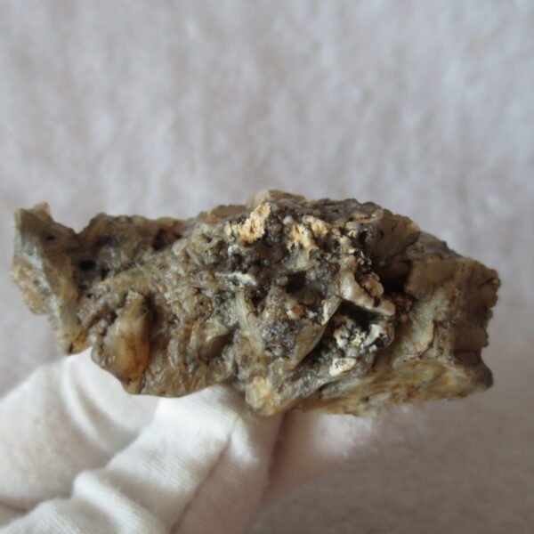 natural gobi skeleton stone (ji gu stone), boxwork ventifact, desert viewing stone (u04）