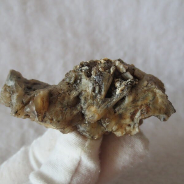 natural gobi skeleton stone (ji gu stone), boxwork ventifact, desert viewing stone (u04）