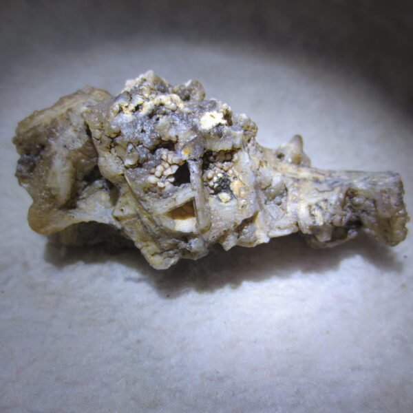 natural gobi skeleton stone (ji gu stone), boxwork ventifact, desert viewing stone (u04）