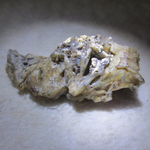 natural gobi skeleton stone (ji gu stone), boxwork ventifact, desert viewing stone (u04）