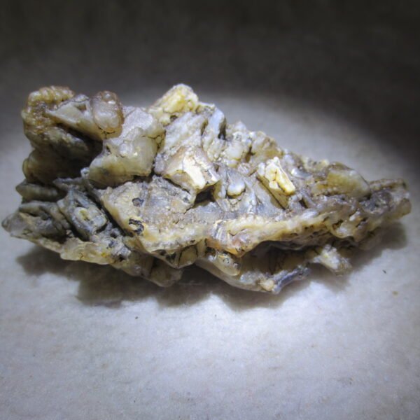 natural gobi skeleton stone (ji gu stone), boxwork ventifact, desert viewing stone (u04）