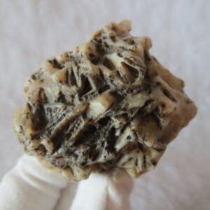 natural gobi skeleton stone (ji gu stone), boxwork ventifact, desert viewing stone (u05）