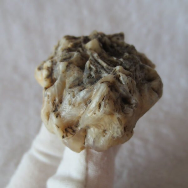 natural gobi skeleton stone (ji gu stone), boxwork ventifact, desert viewing stone (u05）