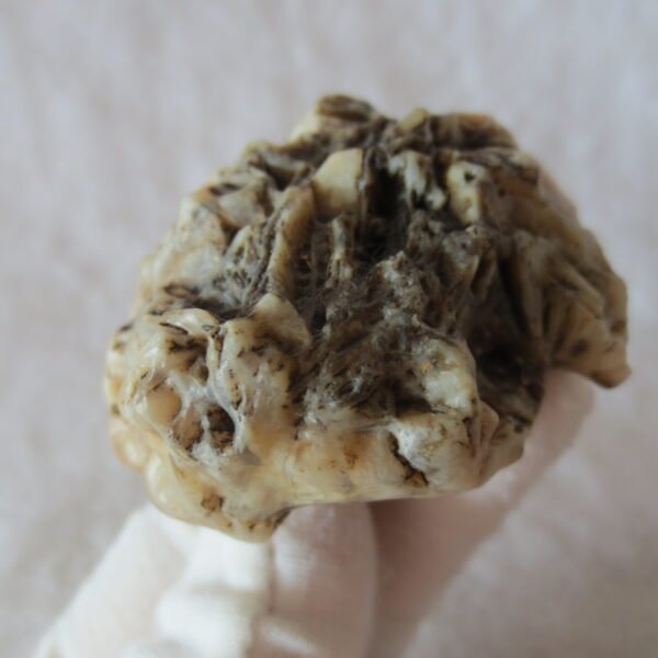 natural gobi skeleton stone (ji gu stone), boxwork ventifact, desert viewing stone (u05）