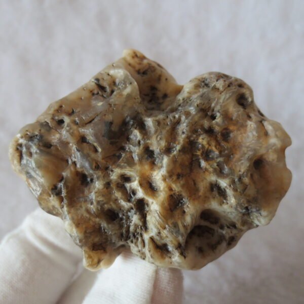 natural gobi skeleton stone (ji gu stone), boxwork ventifact, desert viewing stone (u05）