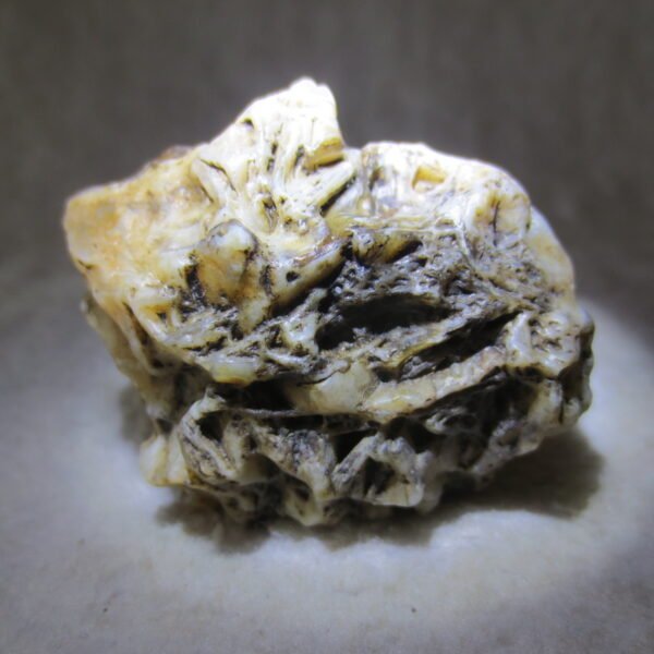 natural gobi skeleton stone (ji gu stone), boxwork ventifact, desert viewing stone (u05）