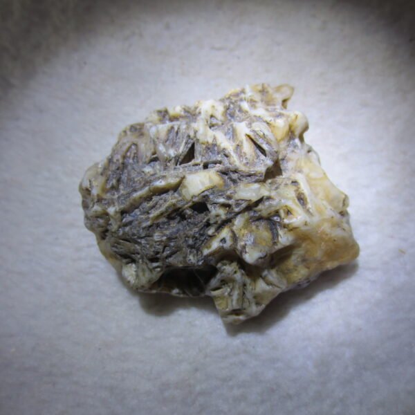natural gobi skeleton stone (ji gu stone), boxwork ventifact, desert viewing stone (u05）